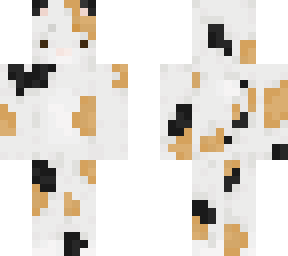 calico cat