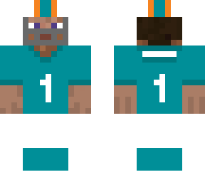 dolphins color