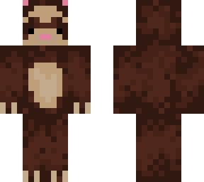 ferret