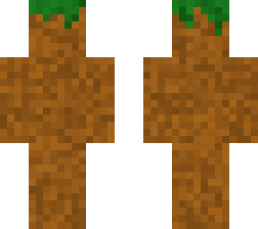 grass block :)