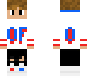 optifine - champion