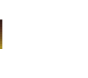 a color palette
