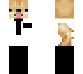doge missionary