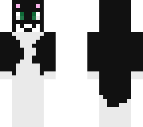 new cat