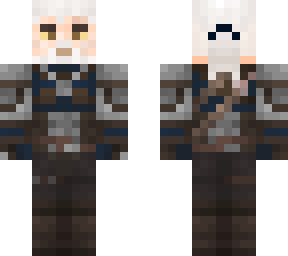 the witcher