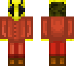 wasp raider