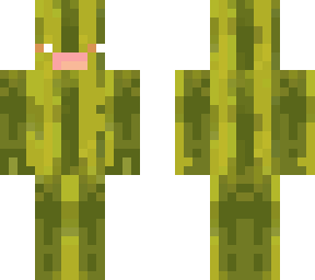 watermelon guy