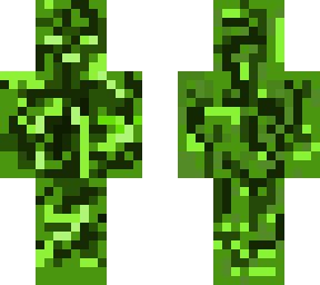 camo skin