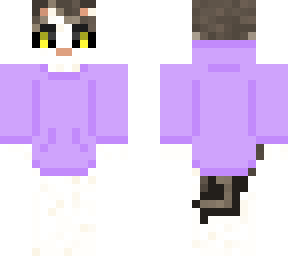 cat in a hoodie