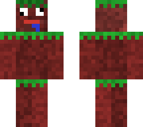 dirt dude