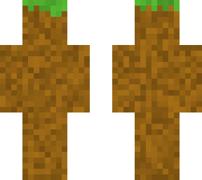 dirt skin
