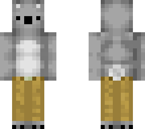 koala in khakis 2.0