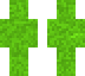 moss camouflage