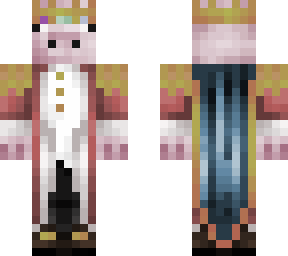 super coole technoblade  skin