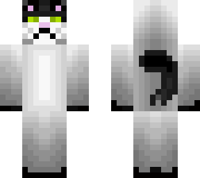 binx (my cat)