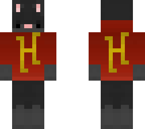 black cat with hypixel sweater