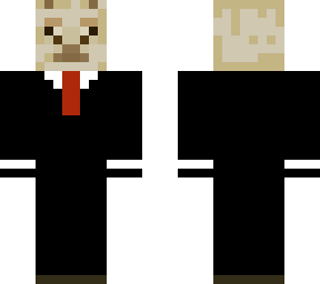 minecraft llama skin
