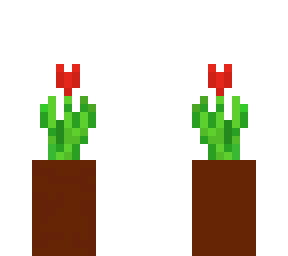 its just a red tulip