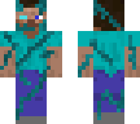 terms steve