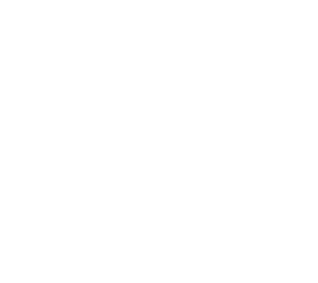 the white dot