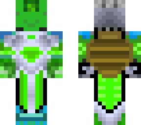 turtle knight