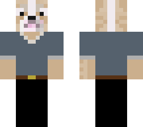 dog in suit
