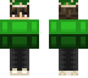 turtle shell boi