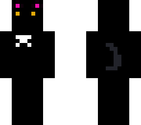 blitz the cat
