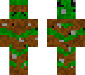 camo tesla