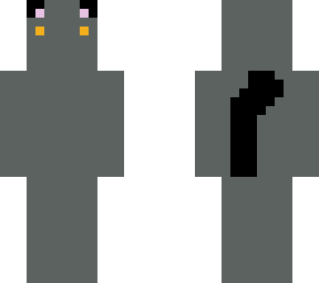 cat o gato