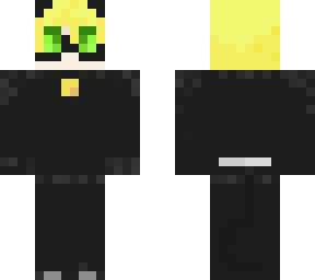 chat noir