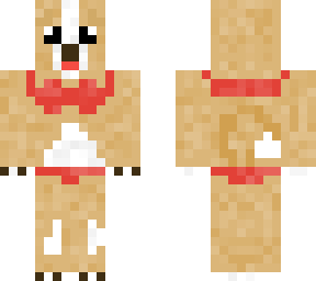 dog in bikini