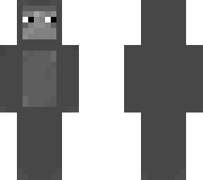 gray cat