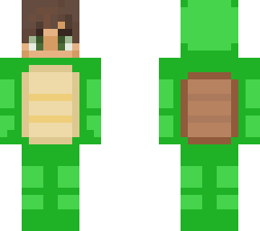 ragnoroak's skin for turtle