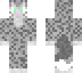 grey tabby cat