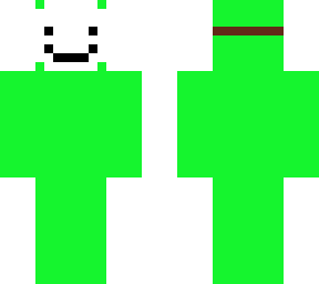 lizard