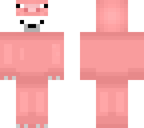 pig bear