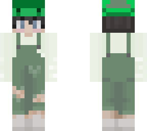 sea turtle hat skin