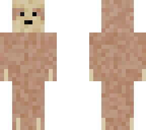 sloth
