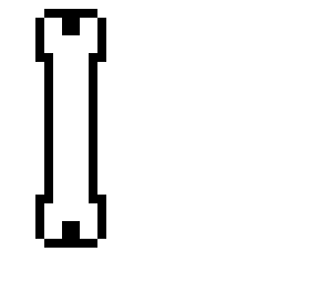a bone