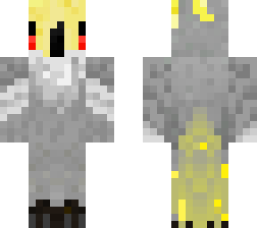 cockatiel