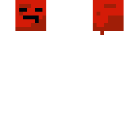 the head
