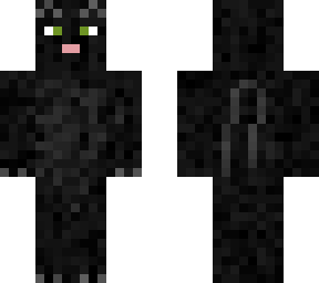 timothy the black cat