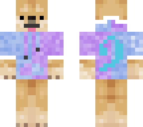 my minecraft skin