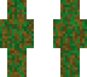 swamp
