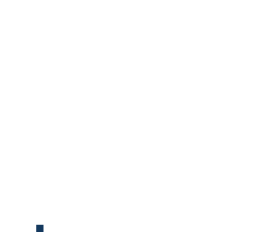 toe