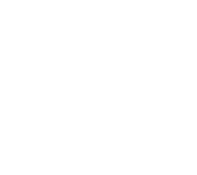 white dot