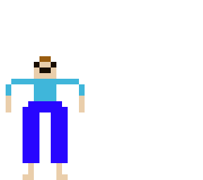 budget steve