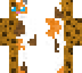 cat cookie