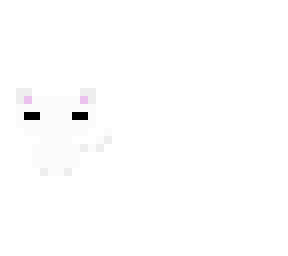 no ideas